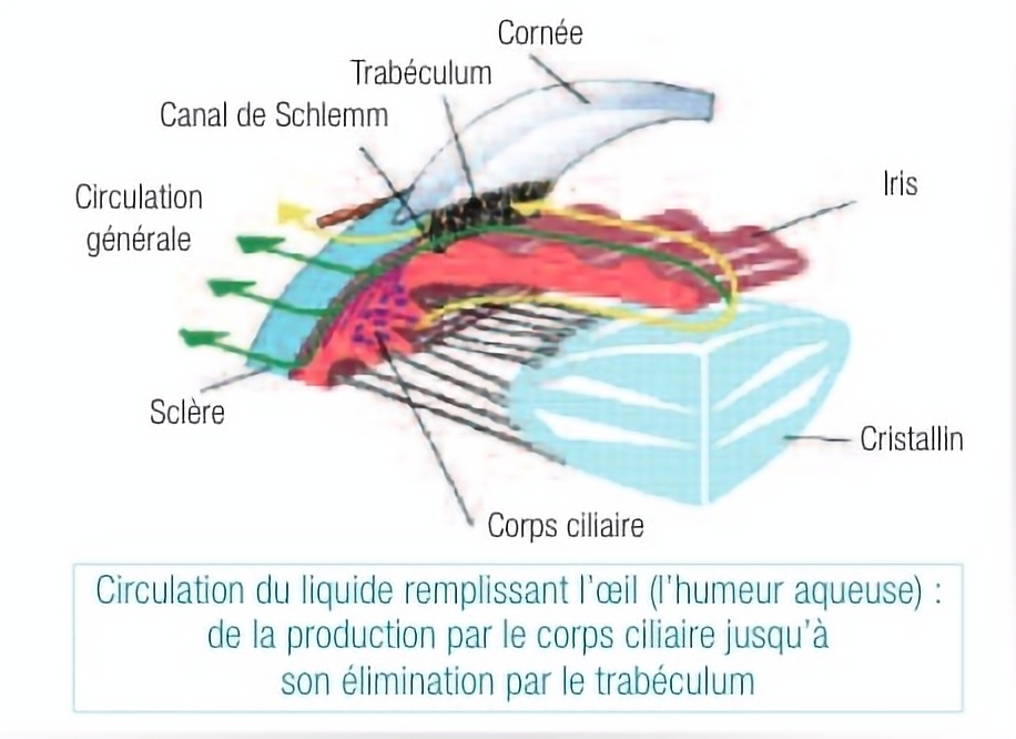 schéma circulation liquide